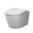 Безободковый подвесной унитаз Am.Pm Flash AquaSpin CNA1901SC (воронкообразный, с сиденьем)